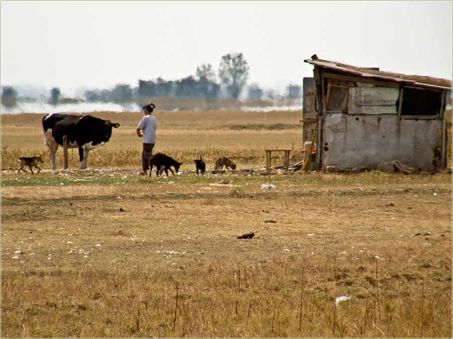 Evo da se i JA malko poFalim !!!