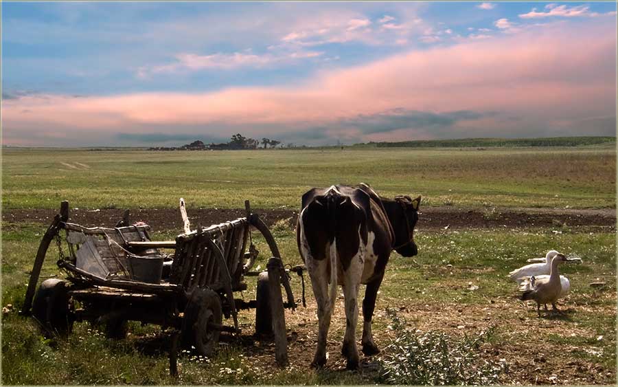 Biće neko neVreme...