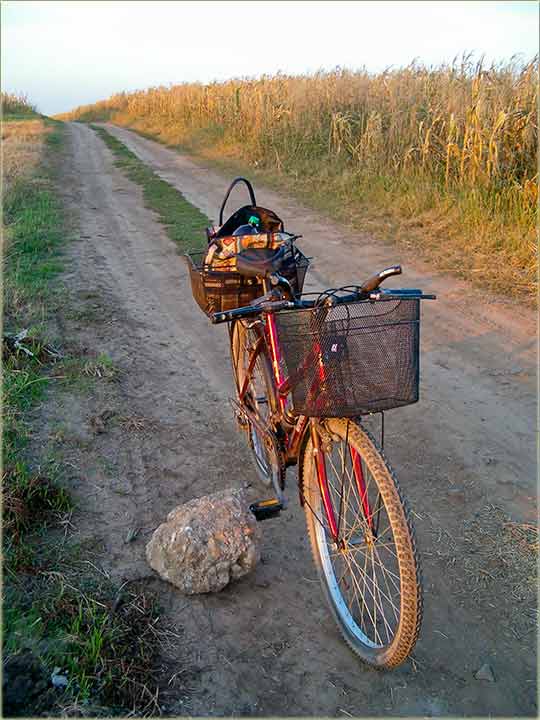 Nešto teško ide bicikli ...