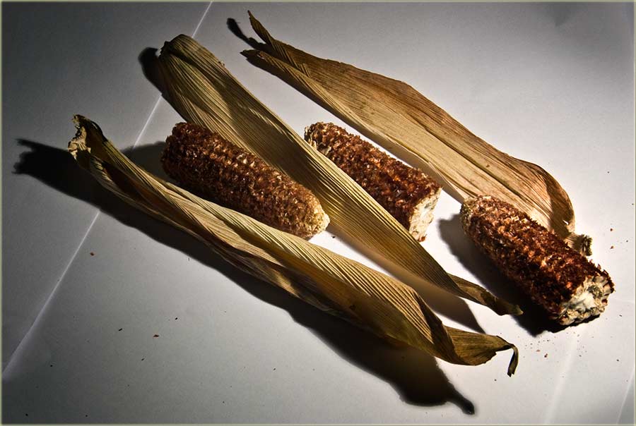 Koji je najbolji čep za rakiju ?