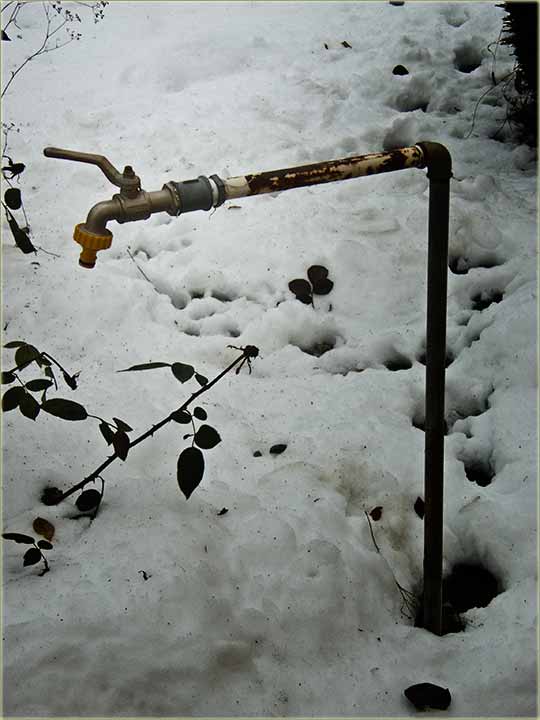 Šteta od ladnoće ...