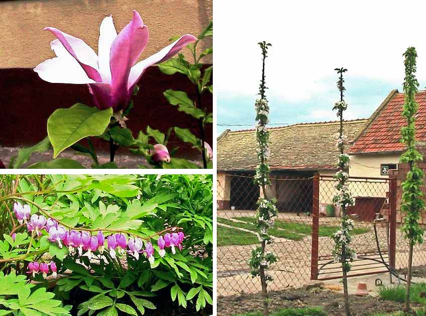 Ekzotika izBašće ...