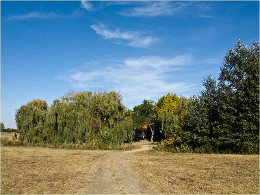 Čudo na Ferikin salaš ...