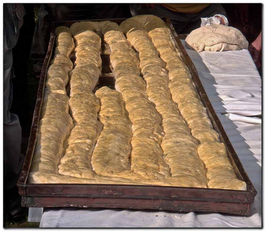 Gibanicijada 2009-te V ...