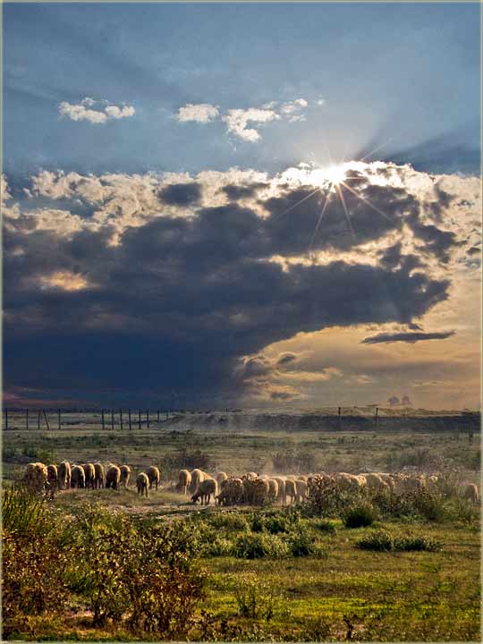 Oćel kiša već jedared ...
