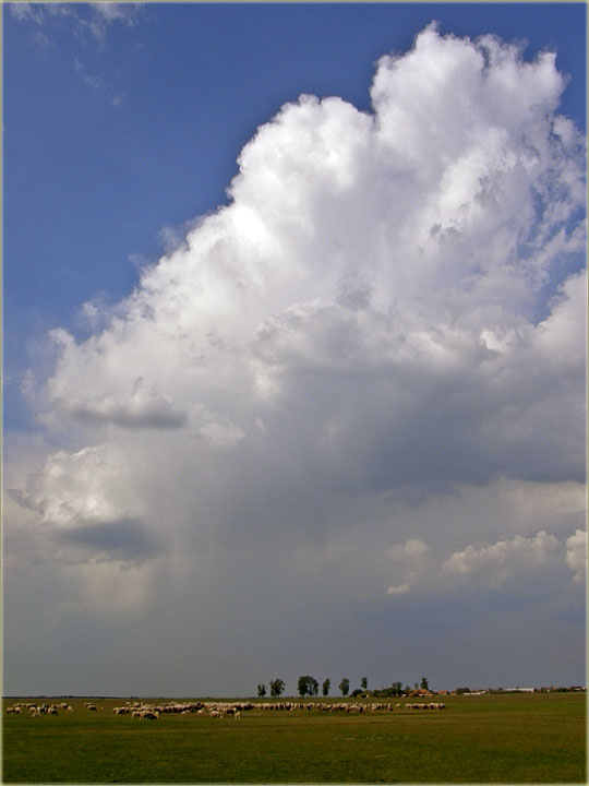 I ravno i široko, a i visoko !!!