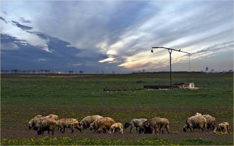 Da... i jutra su kodNas lepa ...