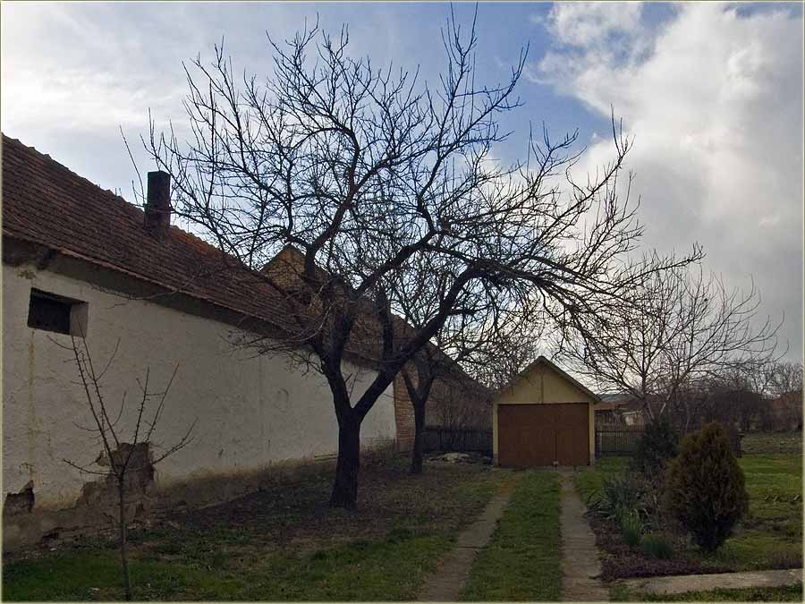 Sve više nam kasni proleće ?