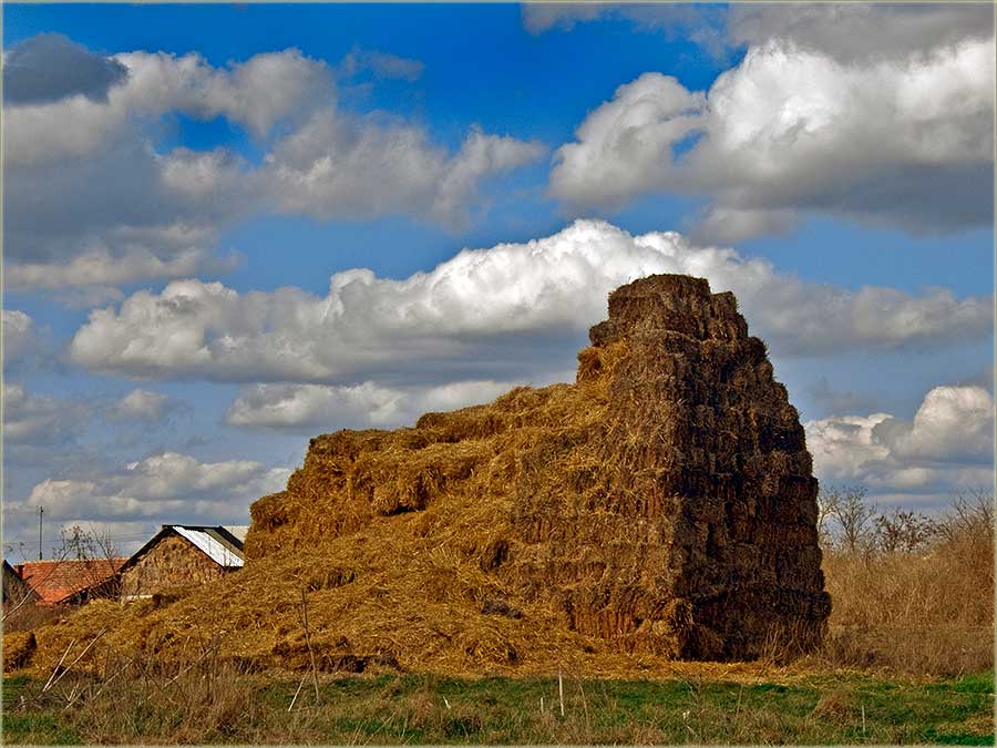 O kamarama slama ...