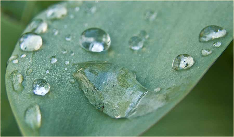 Ta nek pada bilo kaka kiša ...