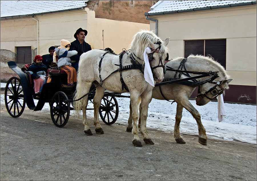 Kočijaši Jovica i Ivica ...