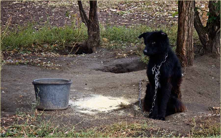 Kerećiji život ...