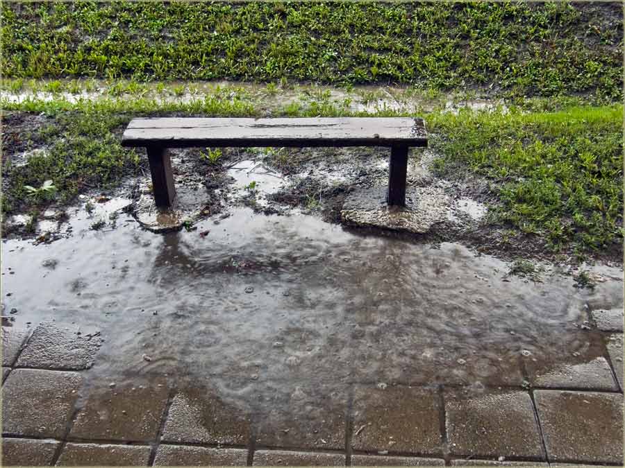 Uaaa kiša..., uaaa !!!