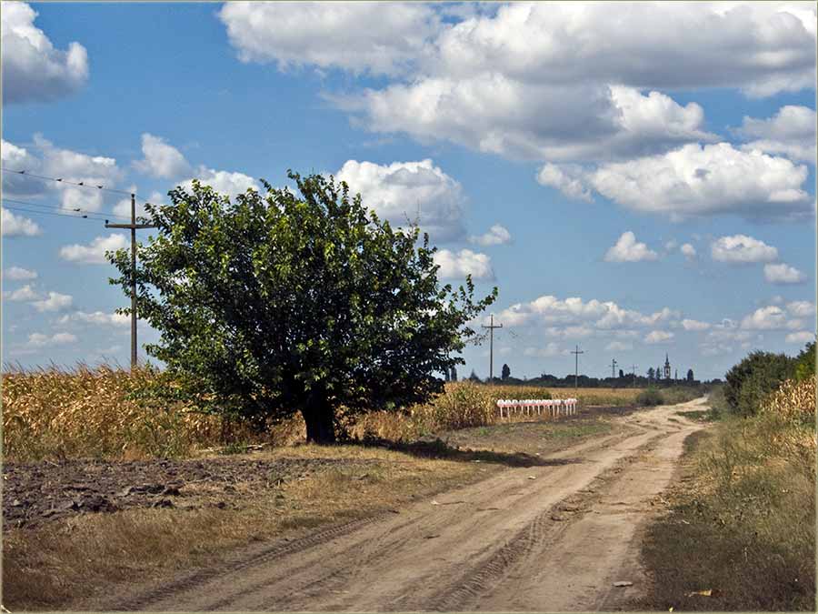 Vreme je za branje kukuruza ...