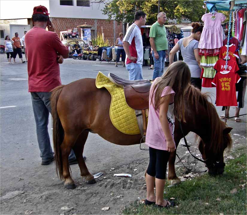 A ja bi da se vozam na konjića...