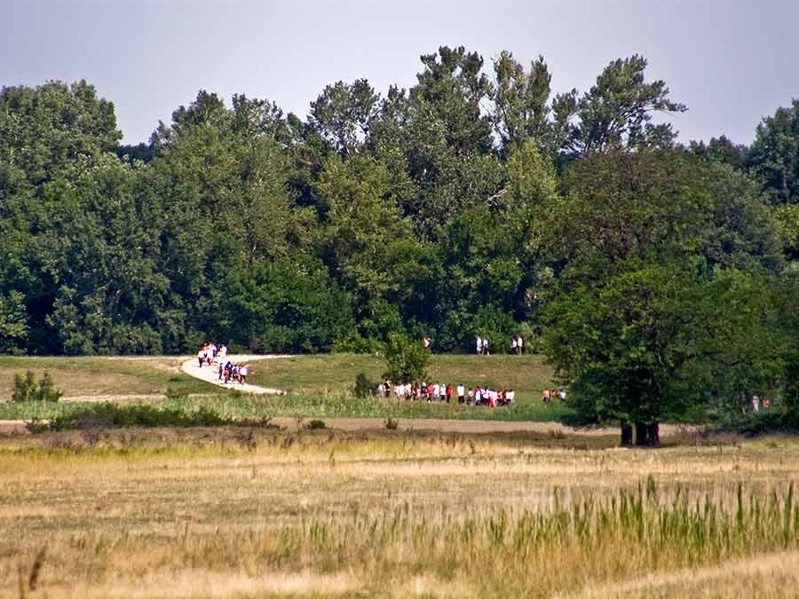 Đačko logorovanje 2009-te III ...