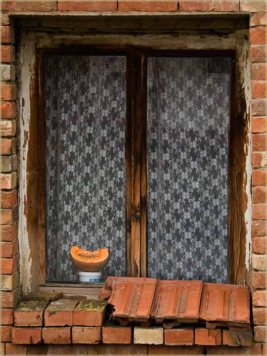 Ludaje na prodaju ...