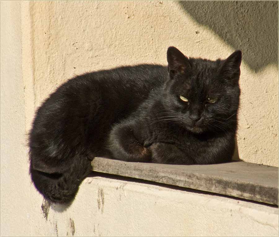 Nikad kraja ovim februvaru !!!