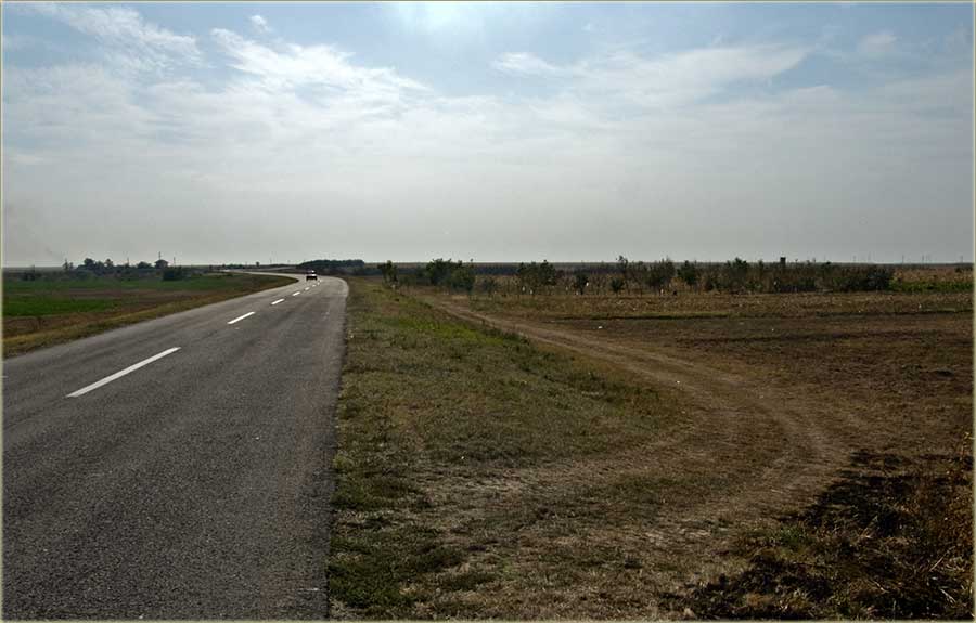 Milić od Crne Bare ...