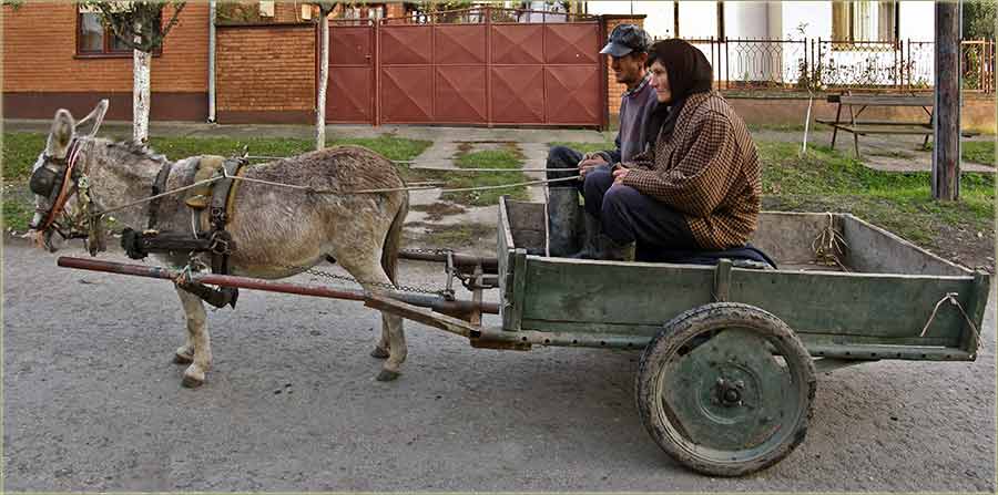 Zustegnuti kajasi ...