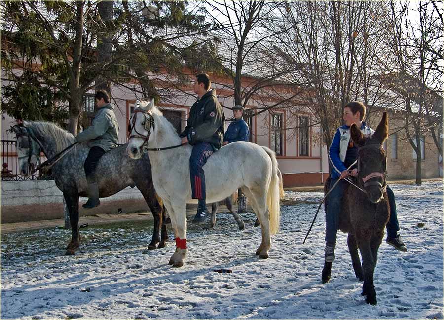 Jedan dan ću i ja jašiti konje ...