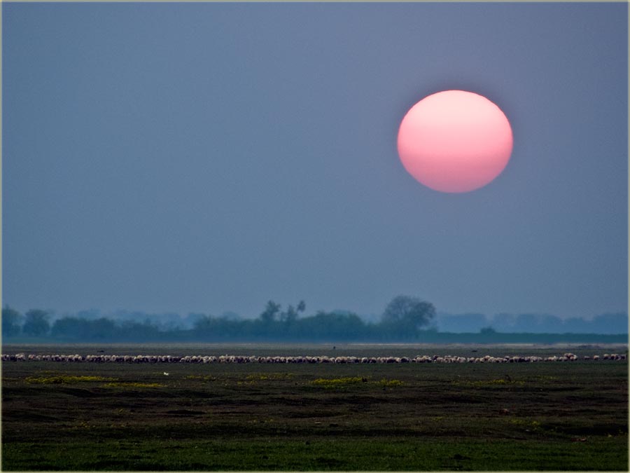 Ovo mora biti naSliku dana...