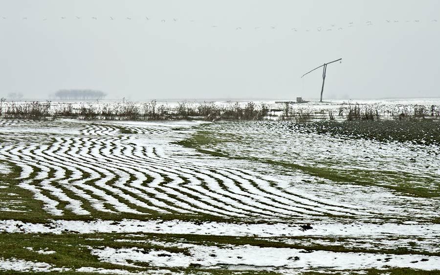 Panonsko, snežni talasi ...