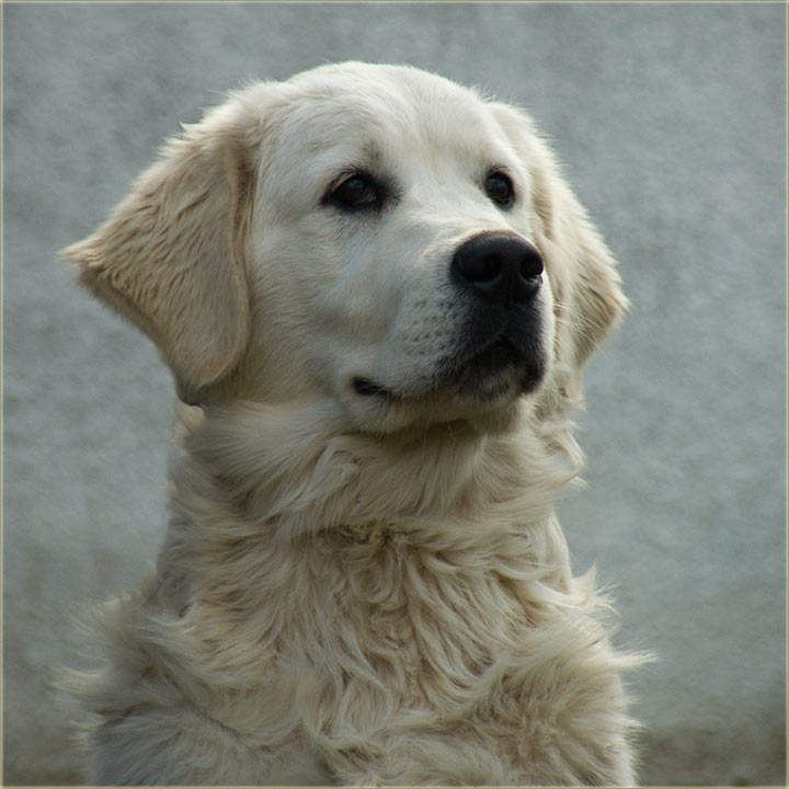 Beodran, a Šveđan !?!