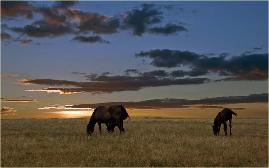 Letnjo PridVečerje uAtar II ...