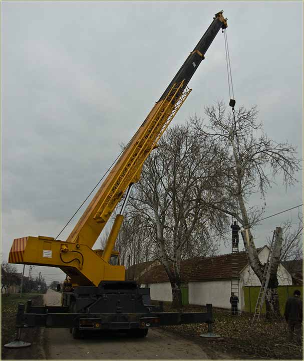 PadKresivanje, kanadcki tapola !!!