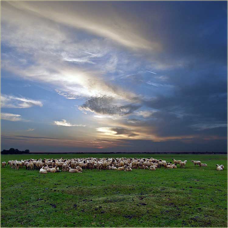 Šeret je uvek šeret...