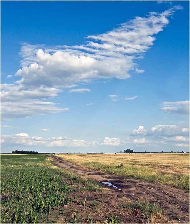 Posla kiše bidne Sunce ...