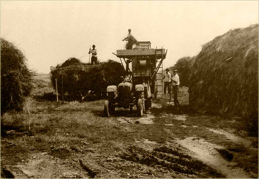 Ne kleči se, dok se radi !!!