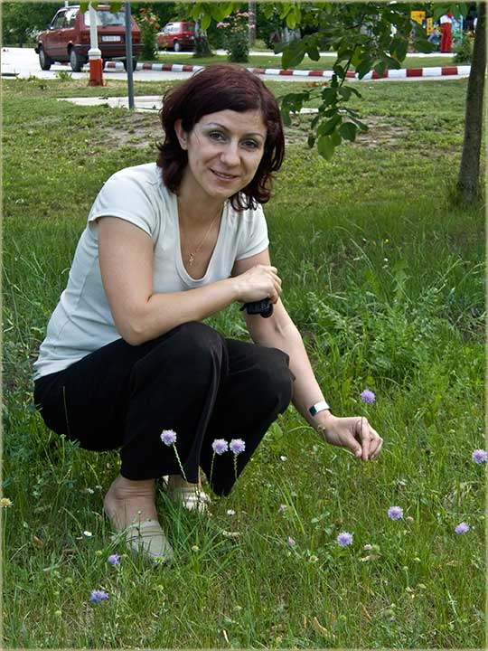 Panonski ( plavi ) NM različak ...