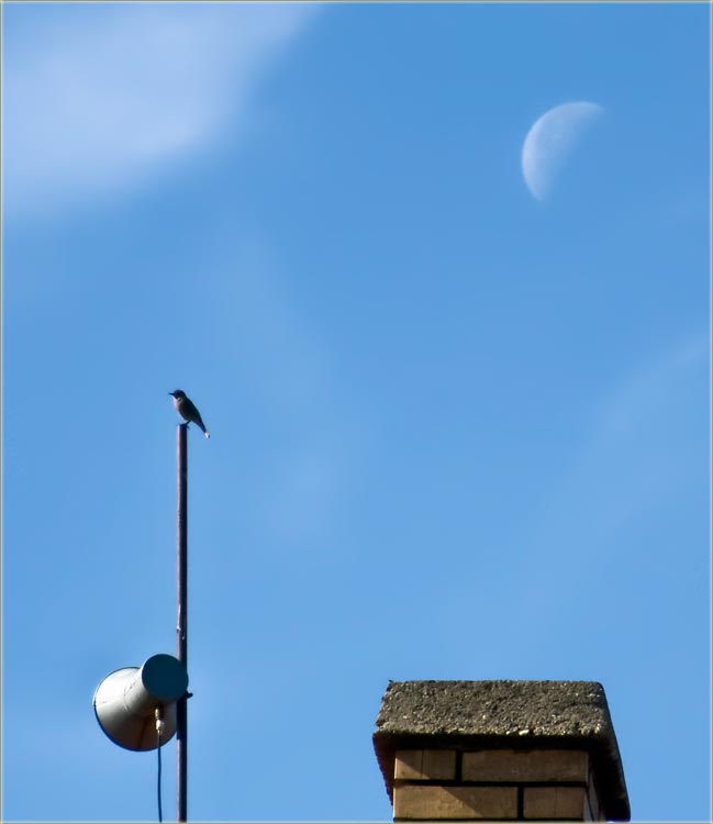 Kako NM sajt ide u Svet ?