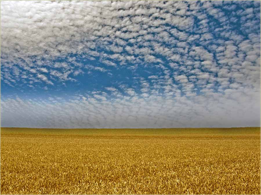 Osim žute, imalte i drugi farbi ?