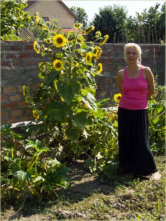 Cvetan cuncuKret imam ...