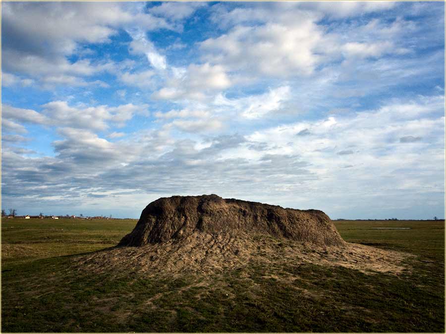 Neće to biti ništa brez mene !!!