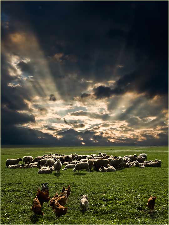 Biblijsko romantična fotografija...