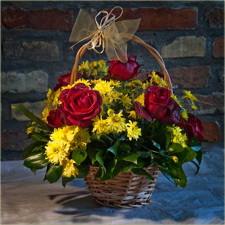 Hobi moje drugarice...