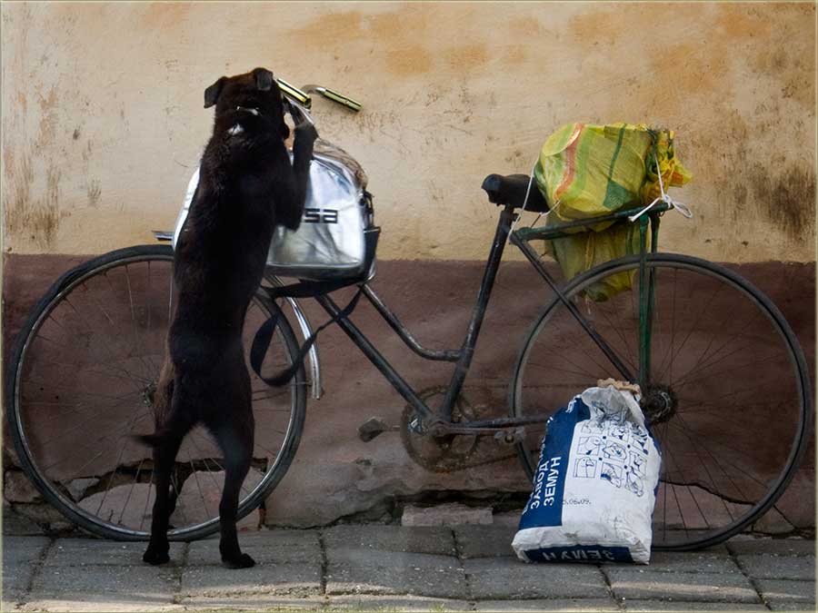 Imal štoGođ zaJelo ?