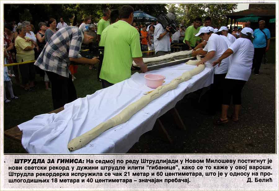 Gibanicijada 2010-te III ...