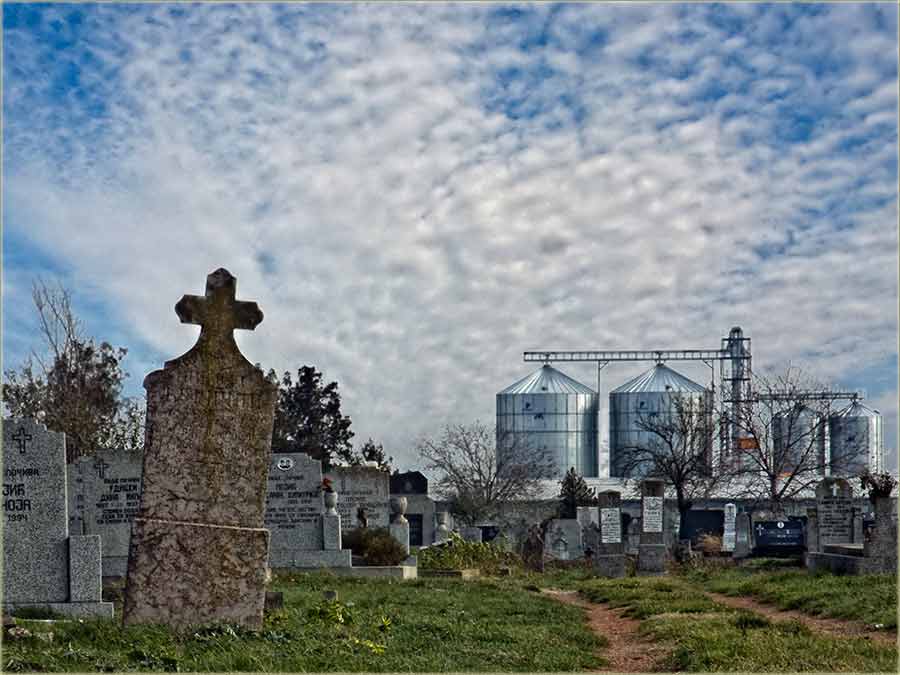 Imal posla uGroblje ?