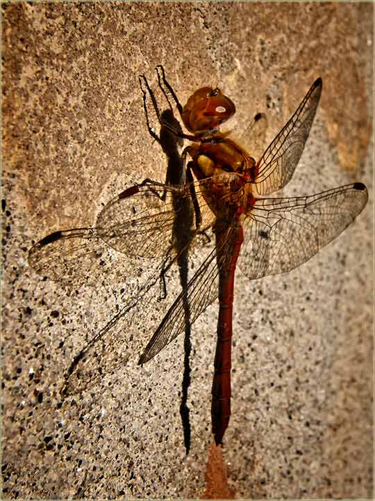 Preknjuče poslaPodna...