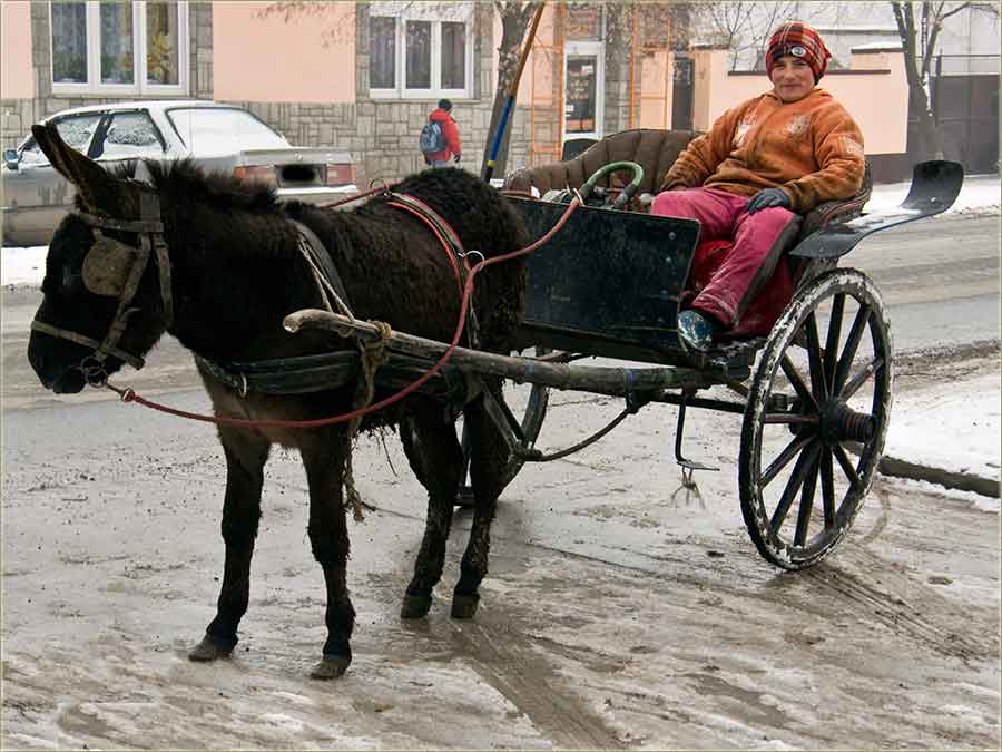Magarica Júlka i Dúle Macan...