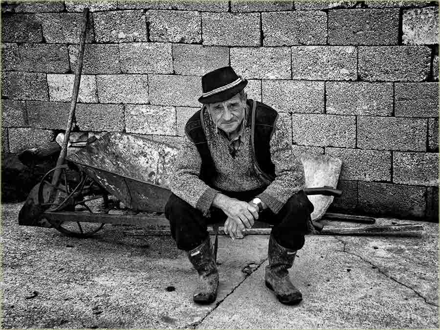 Vojvođanski jezik...