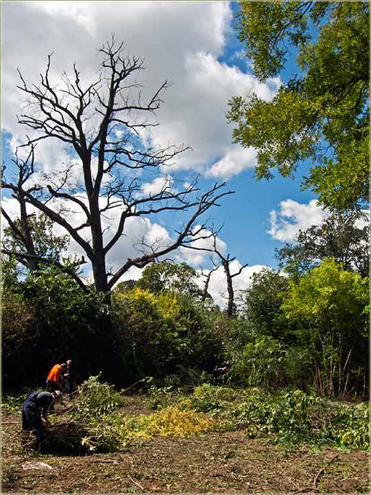 ProVidi se nebo iz parka Kaštilja !