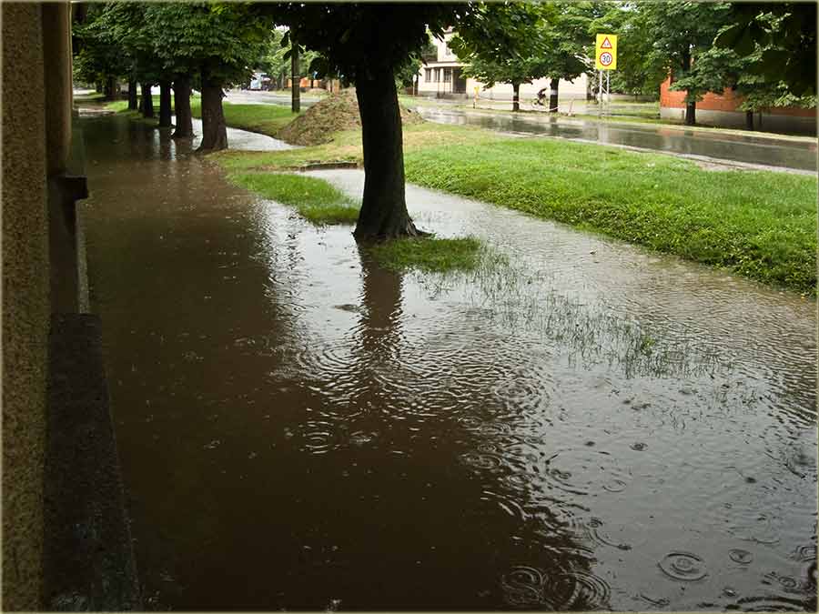 E baš svinjski, a po kineski !!!