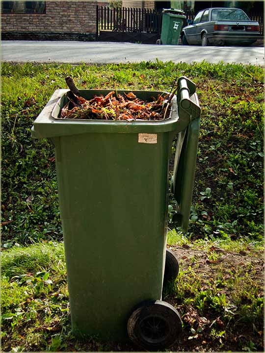 Opet o kestenju, na Glavni sokak !