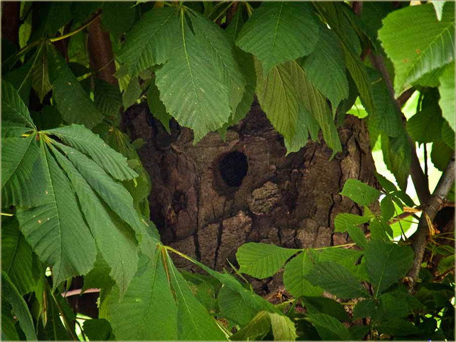 Mali detlići isprid PC dućana !!!